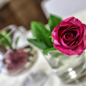 Bed & Breakfast Aleksandr, Brindisi